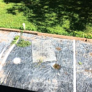 Photo #35 of 176 Toms Lane, Roseland, VA 1.9 acres