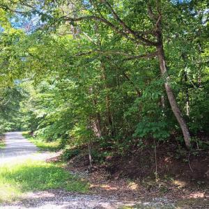 Photo #54 of 176 Toms Lane, Roseland, VA 1.9 acres