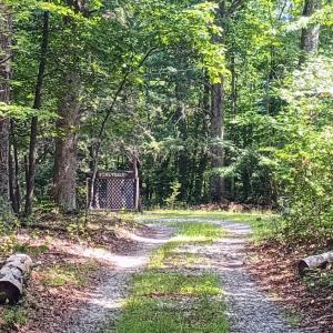 Photo #2 of 176 Toms Lane, Roseland, VA 1.9 acres