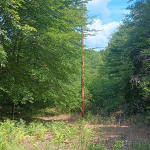 Photo #49 of 176 Toms Lane, Roseland, VA 1.9 acres