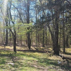 Photo #39 of 176 Toms Lane, Roseland, VA 1.9 acres