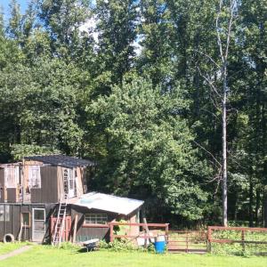 Photo #34 of 176 Toms Lane, Roseland, VA 1.9 acres