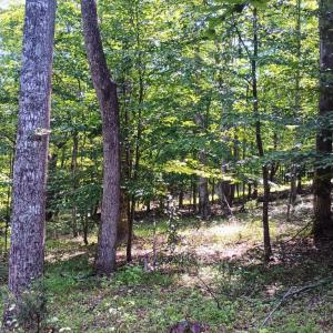 Photo #46 of 176 Toms Lane, Roseland, VA 1.9 acres