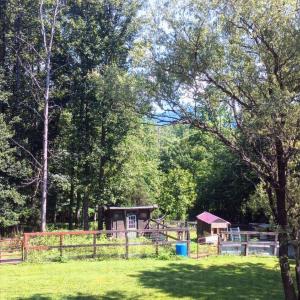 Photo #33 of 176 Toms Lane, Roseland, VA 1.9 acres