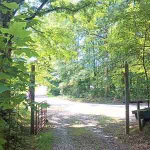 Photo #53 of 176 Toms Lane, Roseland, VA 1.9 acres