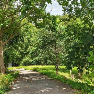 Photo #32 of 40 Rowse Drive, Lynchburg, VA 0.1 acres