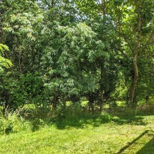 Photo #35 of 40 Rowse Drive, Lynchburg, VA 0.1 acres