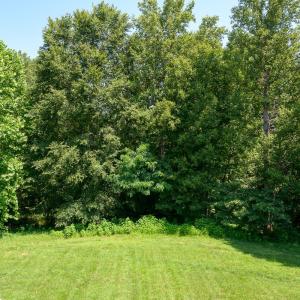 Photo #71 of 1153 Carlton, Forest, VA 1.1 acres