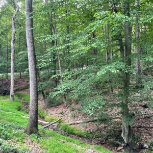 Photo #40 of 356 Juniper Drive, Lynchburg, VA 1.1 acres