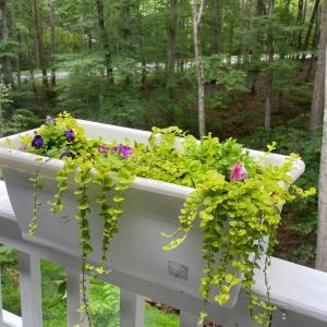 Photo #31 of 356 Juniper Drive, Lynchburg, VA 1.1 acres