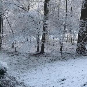 Photo #51 of 356 Juniper Drive, Lynchburg, VA 1.1 acres