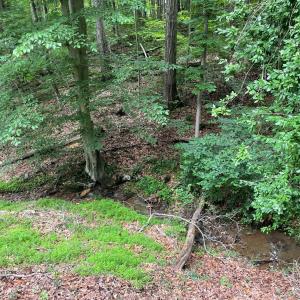 Photo #41 of 356 Juniper Drive, Lynchburg, VA 1.1 acres