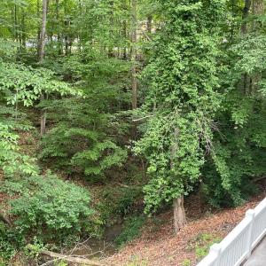 Photo #35 of 356 Juniper Drive, Lynchburg, VA 1.1 acres