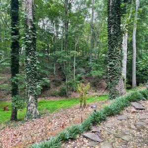 Photo #39 of 356 Juniper Drive, Lynchburg, VA 1.1 acres