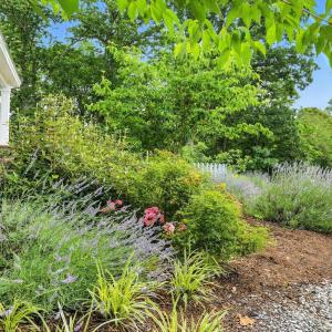Photo #35 of 1106 Gladden Circle, Forest, VA 1.8 acres