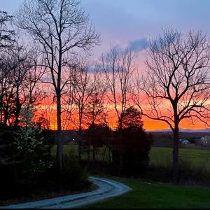 Photo #3 of 290 Green Acres Drive, Evington, VA 1.6 acres