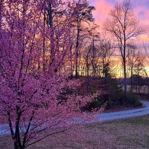 Photo #55 of 290 Green Acres Drive, Evington, VA 1.6 acres