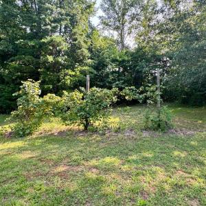 Photo #9 of 290 Green Acres Drive, Evington, VA 1.6 acres