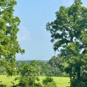 Photo #31 of 290 Green Acres Drive, Evington, VA 1.6 acres