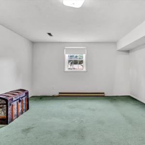 Bedroom #3 (lower level)