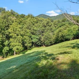 Photo #42 of 2294 High Peak Road, Monroe, VA 2.8 acres