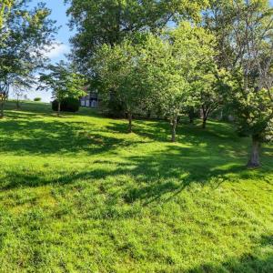Photo #39 of 2294 High Peak Road, Monroe, VA 2.8 acres