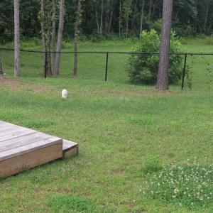 Photo #9 of 863 Winfall Road, Gladys, VA 2.6 acres