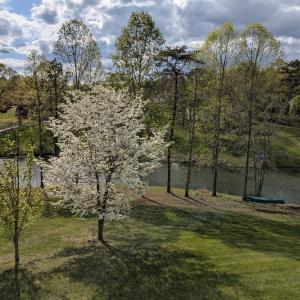 Photo #78 of 1305 Summerpark Drive, Forest, VA 1.0 acres