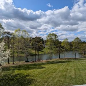 Photo #76 of 1305 Summerpark Drive, Forest, VA 1.0 acres