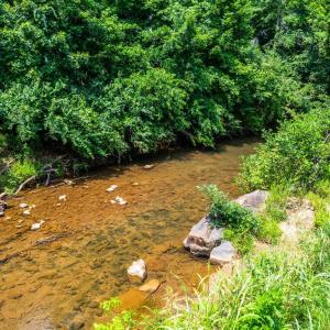 Photo #41 of 723 Custer Drive, Lynchburg, VA 0.7 acres
