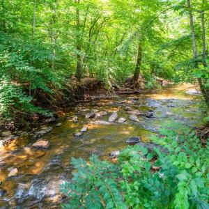 Photo #42 of 723 Custer Drive, Lynchburg, VA 0.7 acres