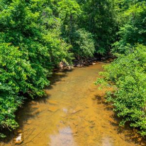 Photo #43 of 723 Custer Drive, Lynchburg, VA 0.7 acres