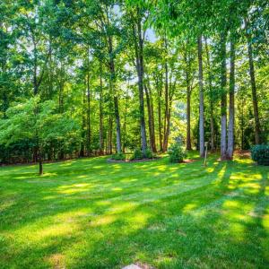 Photo #49 of 1065 Mistwood Place, Forest, VA 0.9 acres