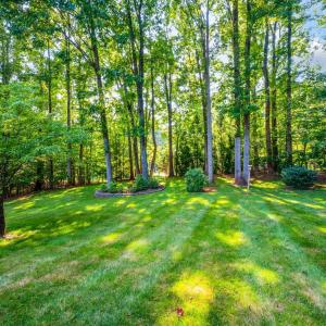 Photo #52 of 1065 Mistwood Place, Forest, VA 0.9 acres