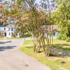 Photo #50 of 1038 Valencia, Huddleston, VA 5.5 acres