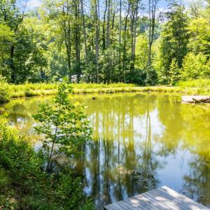 Photo #9 of 350 Creekside Lane, Faber, VA 7.0 acres