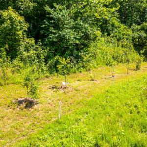 Photo #88 of 350 Creekside Lane, Faber, VA 7.0 acres