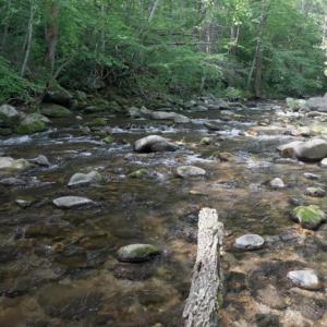 Photo #59 of 2070 Woodson Rd, Roseland, VA 7.5 acres