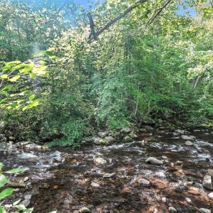 Photo #4 of 2070 Woodson Rd, Roseland, VA 7.5 acres