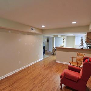 basement den