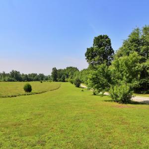 Photo #59 of 1967 Cub Creek Road, Appomattox, VA 70.8 acres