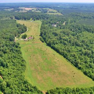 Photo #4 of 1967 Cub Creek Road, Appomattox, VA 70.8 acres