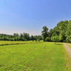 Photo #8 of 1967 Cub Creek Road, Appomattox, VA 70.8 acres