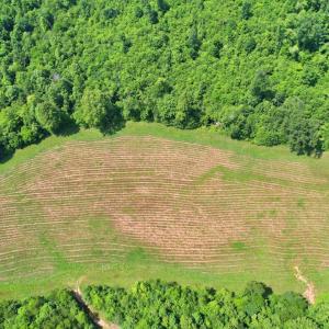 Lower Field aerial view