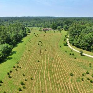 Photo #9 of 1967 Cub Creek Road, Appomattox, VA 70.8 acres