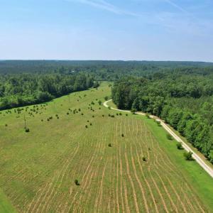 Aerial from road looking down the driveway