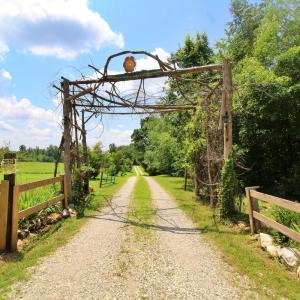 Photo #7 of 1967 Cub Creek Road, Appomattox, VA 70.8 acres