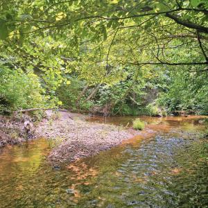 Cub creek at back of property