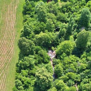 Photo #61 of 1967 Cub Creek Road, Appomattox, VA 70.8 acres