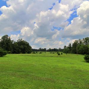 Photo #66 of 1967 Cub Creek Road, Appomattox, VA 70.8 acres